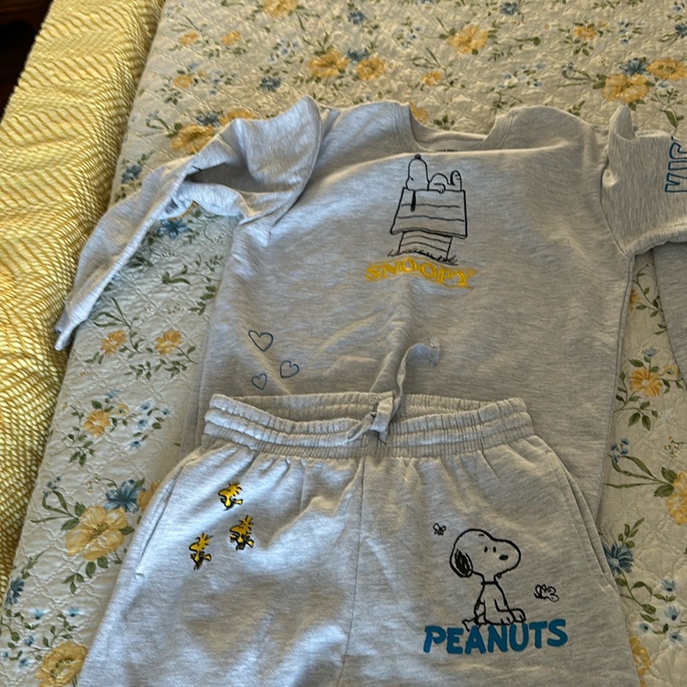 Snoopy sweat set by Freeze size medium, never worn